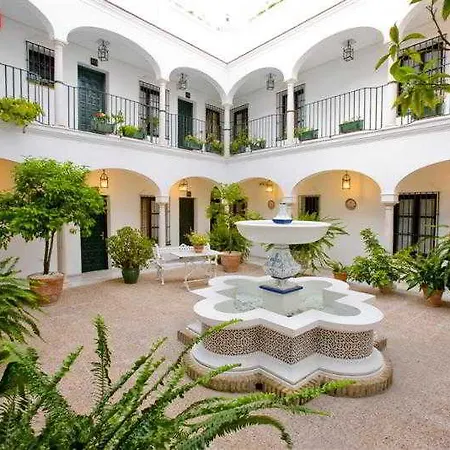 Helechos Sanlúcar de Barrameda