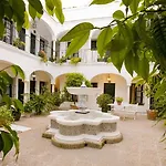 Helechos Sanlúcar de Barrameda