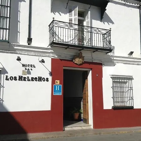 Helechos Sanlúcar de Barrameda